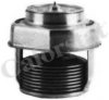 CALORSTAT by Vernet TH2150.75J Thermostat, coolant